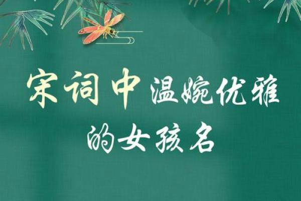 让诗词的韵律为女宝宝命名增添光彩
