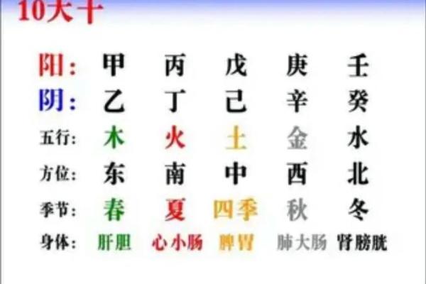 探索天干禄在命理学中的作用与解读