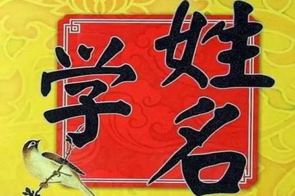 明名字打分法：揭秘姓名与命运的深层联系