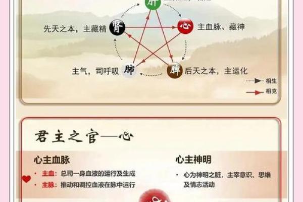 五行相生顺序对生活和健康的影响解析
