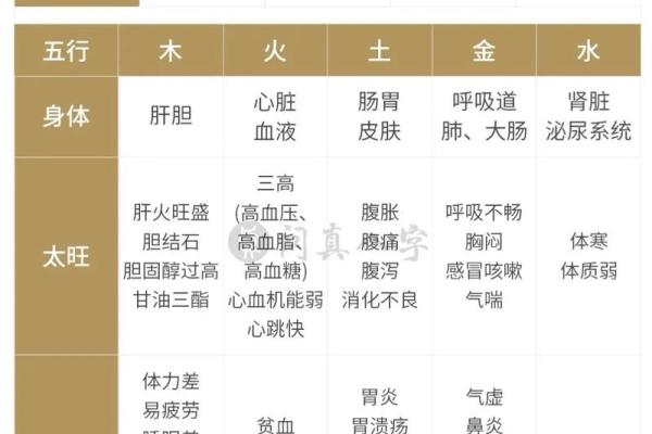 五行相乘的深层奥秘与实际应用探析