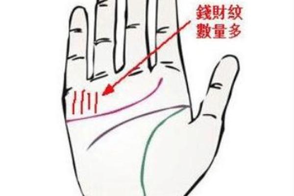 拍照免费测手相，让你预知未来的关键