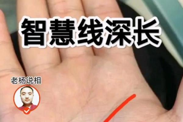 手相智慧线揭示的深层人生智慧与决策能力