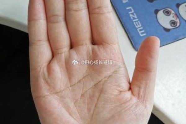 手相智慧线揭示的深层人生智慧与决策能力