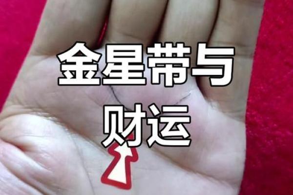 男人手相揭示财富密码：如何通过手纹预测财运走向