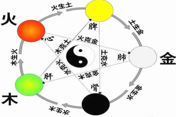 五行命理如何计算详解 解析五行对命运的影响