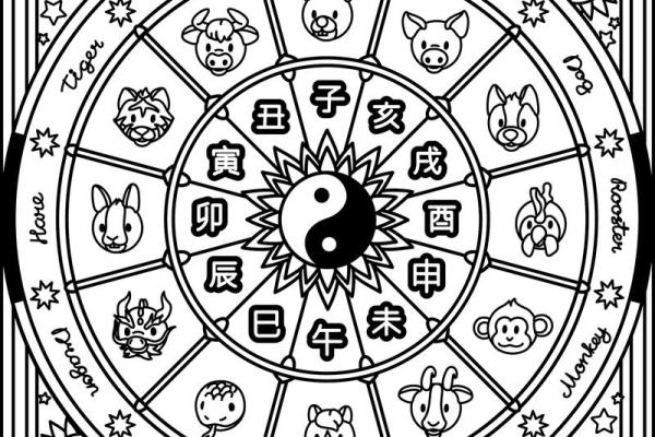 五行属什么揭秘：了解这年的命理特征