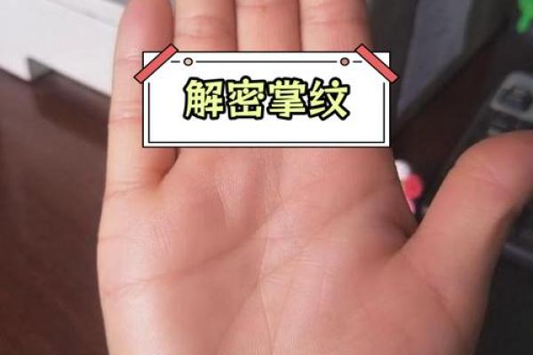 一次免费的手相测试，揭示你的人生密码