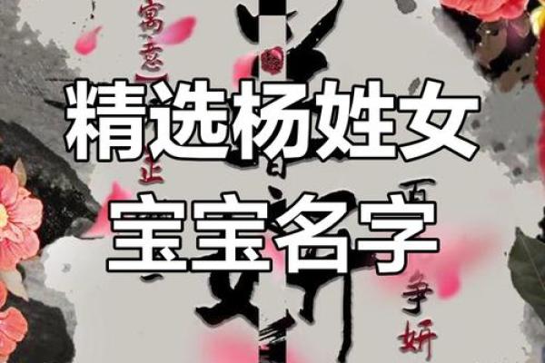 杨姓男孩命名必知要点与精选名字推荐