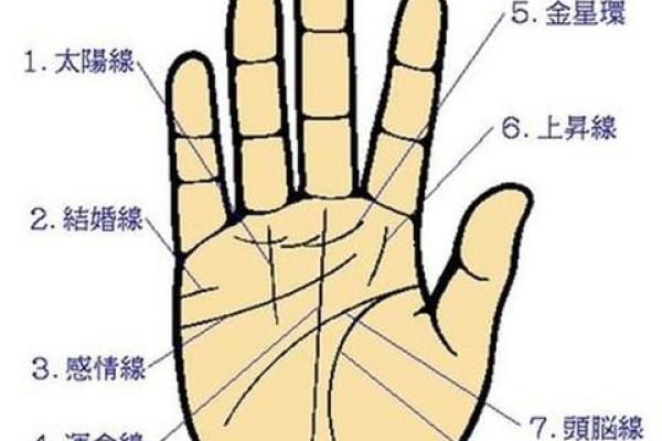 女生手相揭秘：从掌纹看你的内心世界
