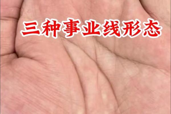 事业线的手相意义：揭开成功与挑战的奥秘