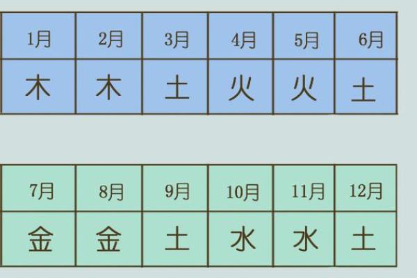 五行属什么？解析属猴年份的五行属性