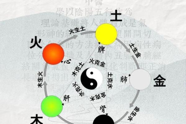 五行与五脏相生相克的奥秘解析