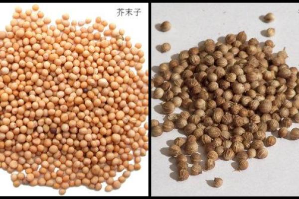 解密梦中辣椒的不同含义与解读