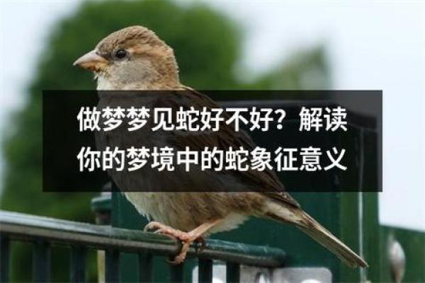 梦见蛇的常见解释及背后的深层含义