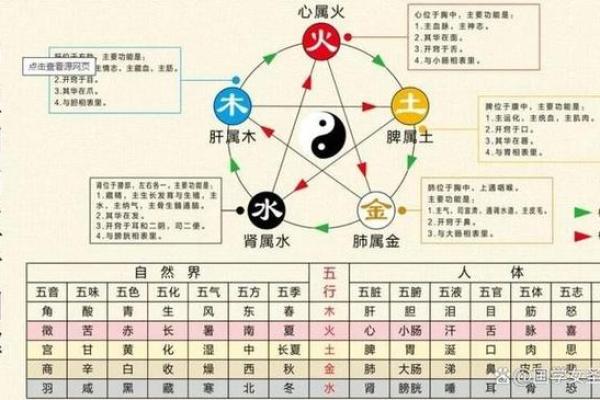 午五行属火的解析与生活中的应用