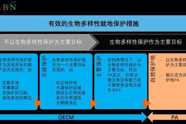 方言的多样性与语言保存的挑战