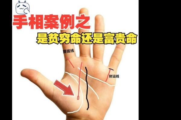 揭示富贵手相图片中的财富象征与命运轨迹