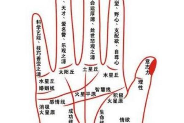 免费手相测试，轻松了解自己的人生轨迹