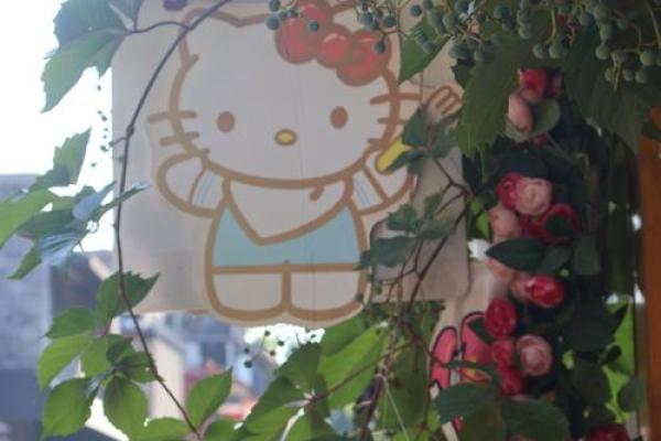 在北京胡同里感受传统与创新的碰撞