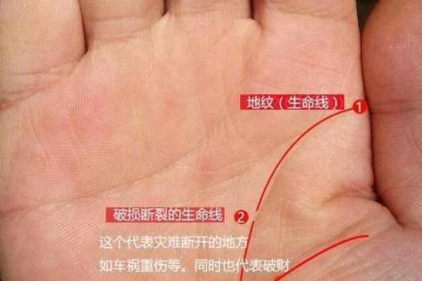 如何通过生命线看出个人的生命力与运势