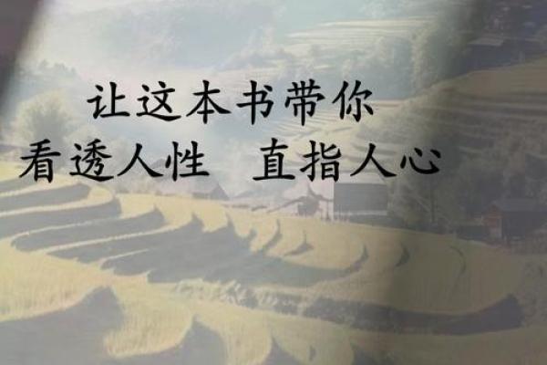 深入浅出命理：看透人生的密码