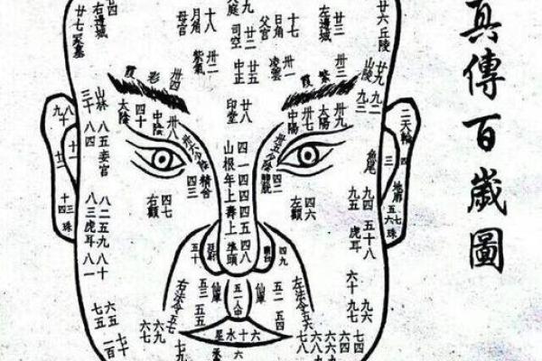 颧骨突出面相分析与命运走向解析