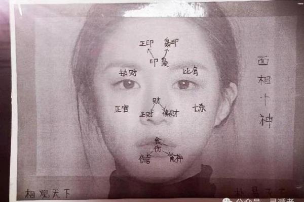 脑门大的女人面相解析：智慧与事业的象征