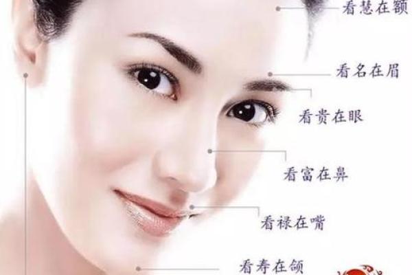 揭示大富大贵婴儿面相的五大标志