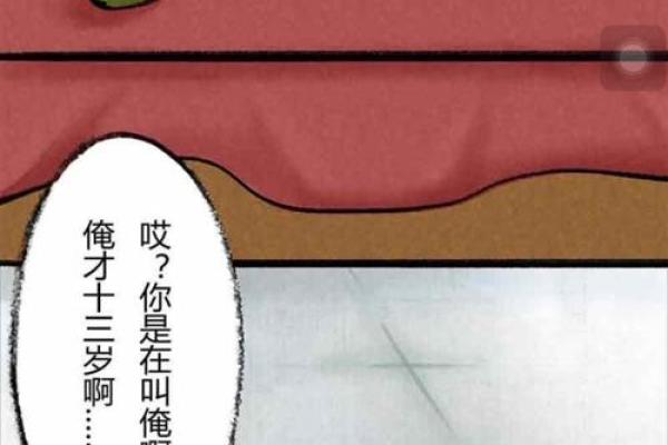 如何通过猫命理提升家庭和谐与运势