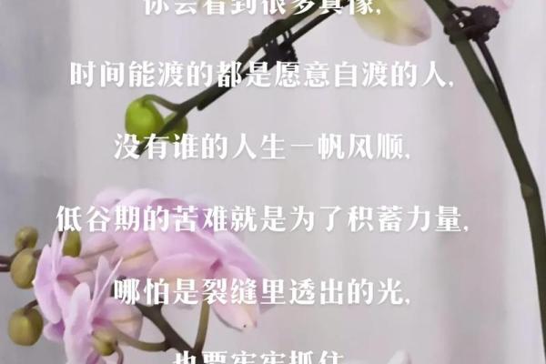 深度解析八字命理 让你的人生更有方向