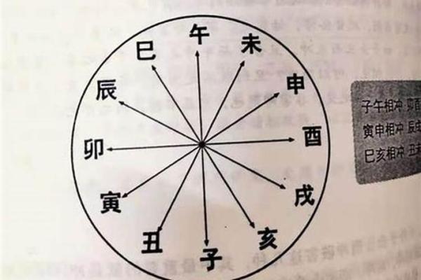 探秘命理学：如何通过八字分析人生走向