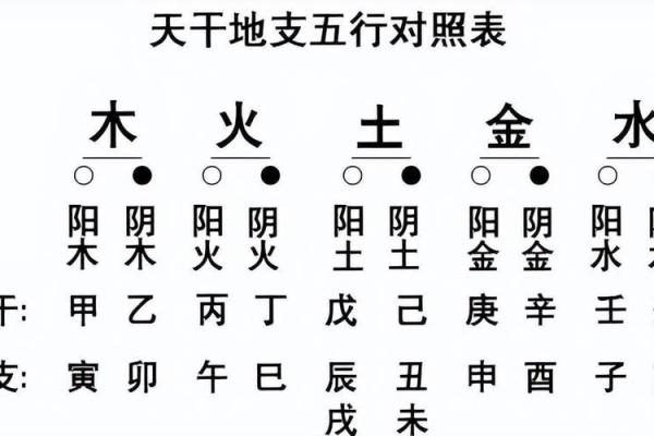 未土在地支中的象征意义与性格特点解析