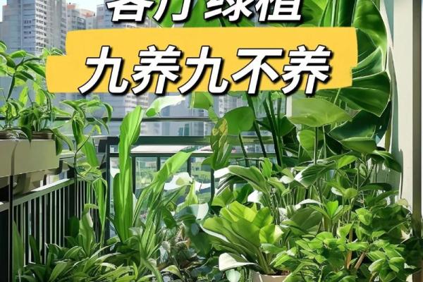 如何通过植物提升办公室风水和财运