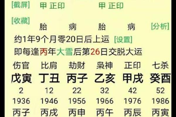 生辰八字解析事业与财运的秘密与影响