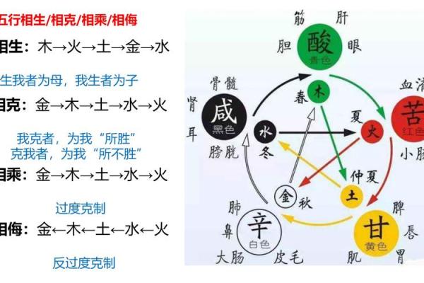 五行学说的核心理念与实际应用解析