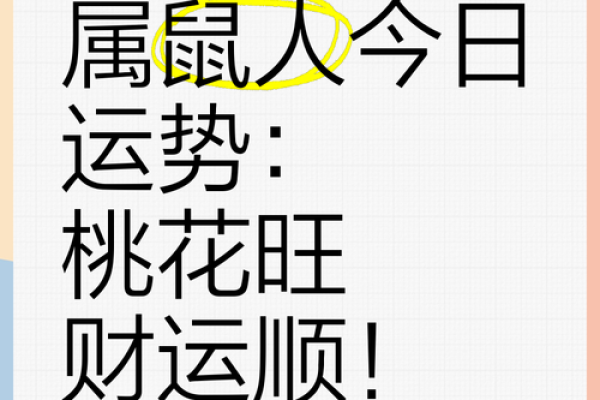 属鼠人今日运势揭秘：成功与挑战并存