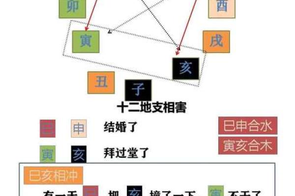透析地支之间的相合与相冲关系