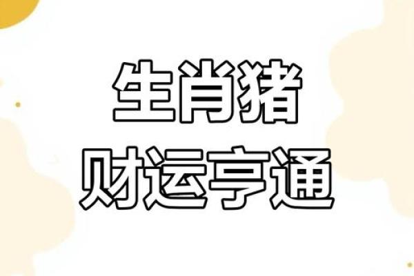 属猪今日运势解析：财运、健康与感情运势全面分析