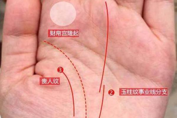 从男人的左手看性格和命运的秘密