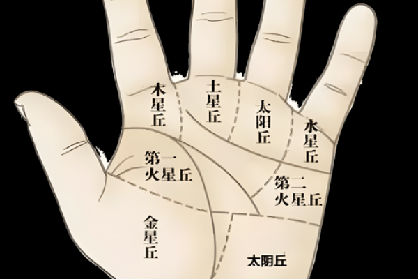 手相解析入门：如何从手掌看出你的性格与运势