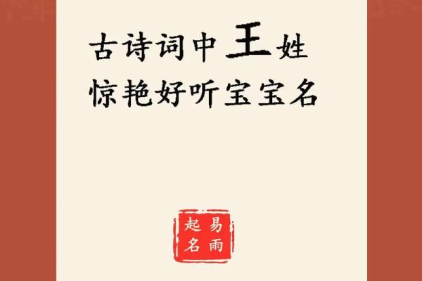 王名字打分：选择一个好名字的重要性与方法