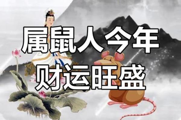 鼠生肖今日运势：把握机遇，避开陷阱