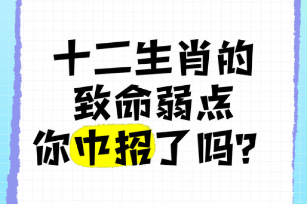 鼠生肖今日运势：把握机遇，避开陷阱