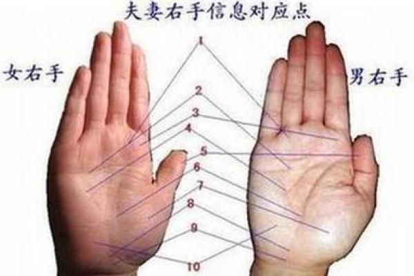 揭秘看手相女：手掌纹路透露的性格与命运