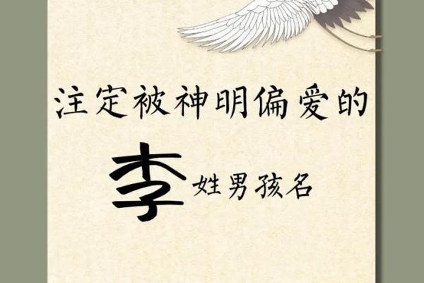 李字的五行与命理打分方法，助你取个合适的名字