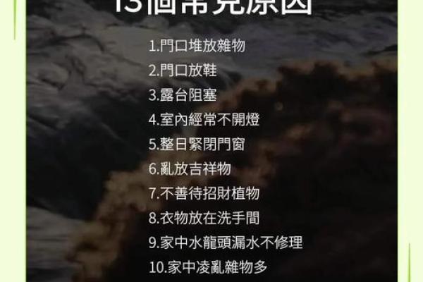 专家解读：家居风水对家庭和谐的影响