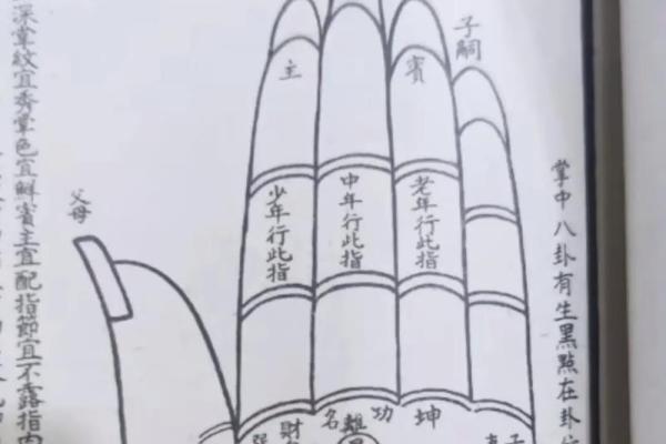 男性手相分析：如何从掌纹看他的人生轨迹