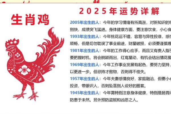 探索属鸡人的五行命理与人生道路