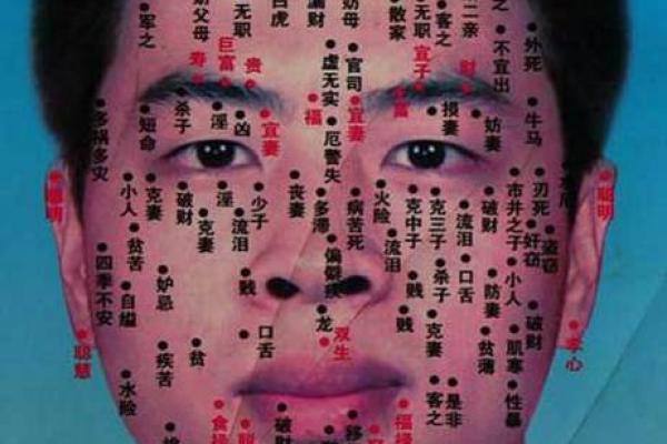 外情痣痣相的性格与情感特征分析